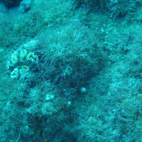 IMG_0884 IMG_0884