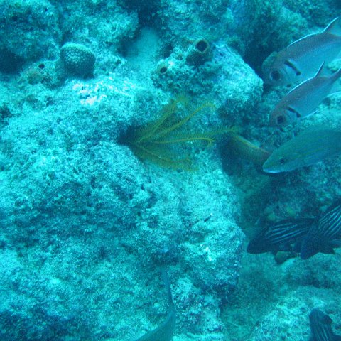 IMG_0885 IMG_0885