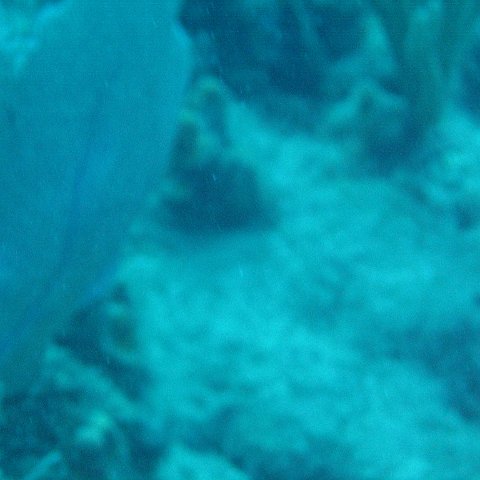 IMG_0903 IMG_0903