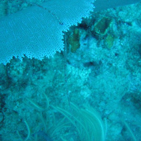 IMG_0915 IMG_0915