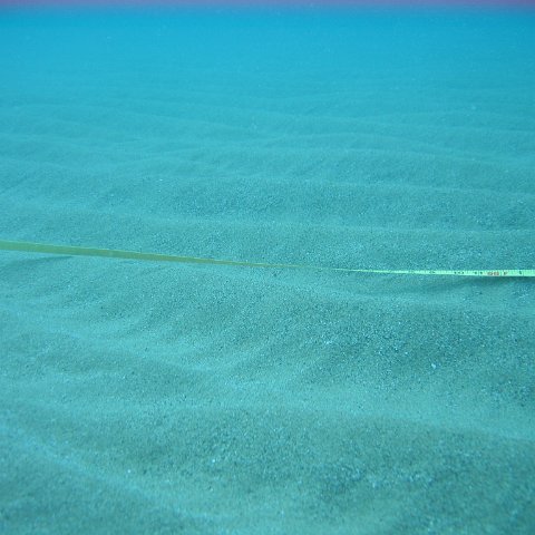 IMG_9485 IMG_9485