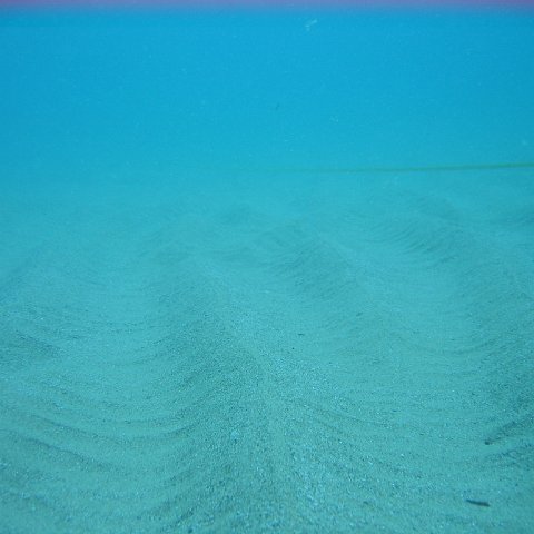 IMG_9486 IMG_9486
