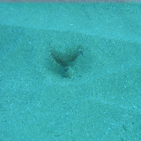 IMG_9487 IMG_9487