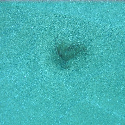 IMG_9488 IMG_9488