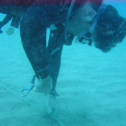 IMG_9497 IMG_9497