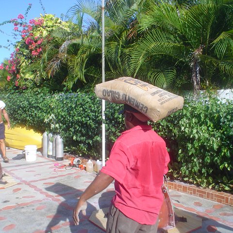 DSC00016 DSC00016