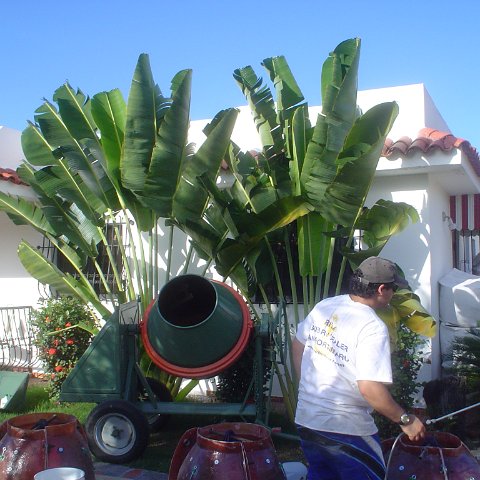 DSC00022 DSC00022