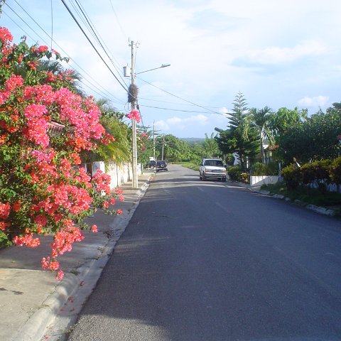 DSC00023 DSC00023