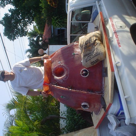 DSC00065 DSC00065