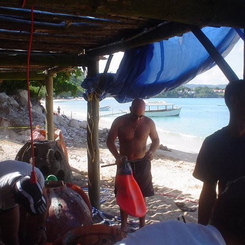 DSC00113 DSC00113