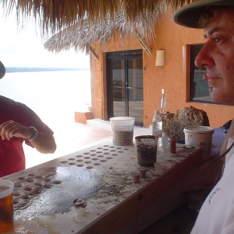 DSC00170 DSC00170
