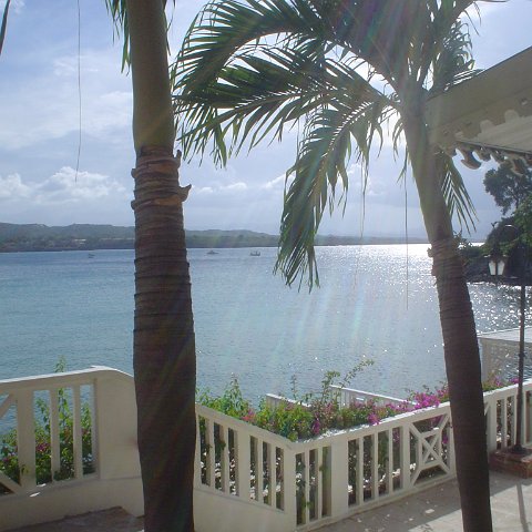 DSC00011 DSC00011