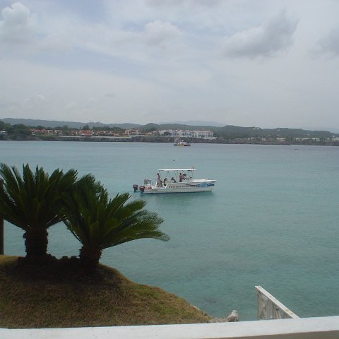 DSC00082 DSC00082