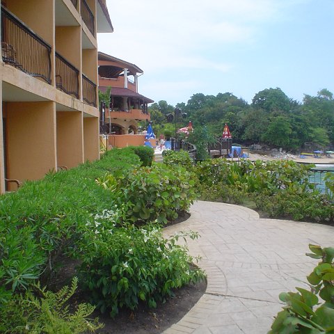 DSC00083 DSC00083