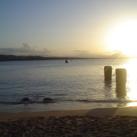 DSC00137 DSC00137