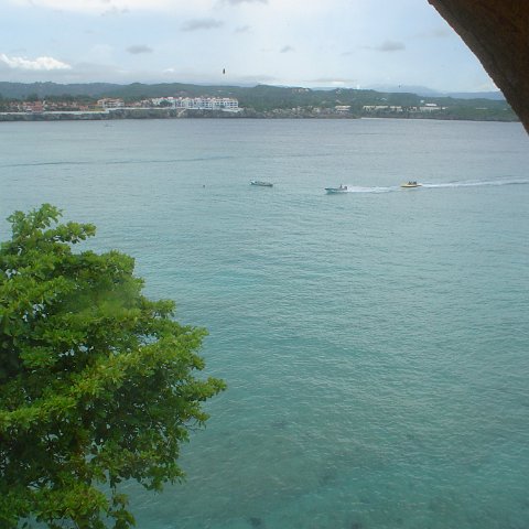 DSC00233 DSC00233