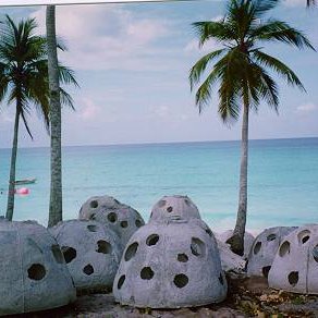 Domincan Republic Reef Ball Projects and Photos