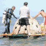 El Salvador Reef Ball Projects and Photos El Salvador Reef Ball Projects and Photos