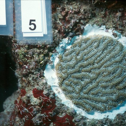 image004 image004