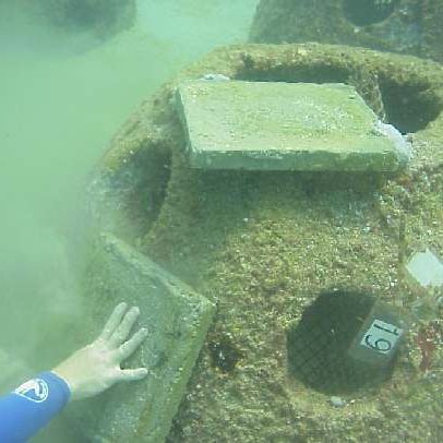 image15 image15