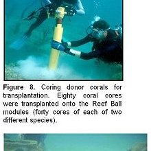 image5 image5