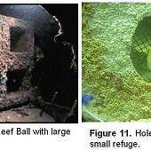 image6 image6
