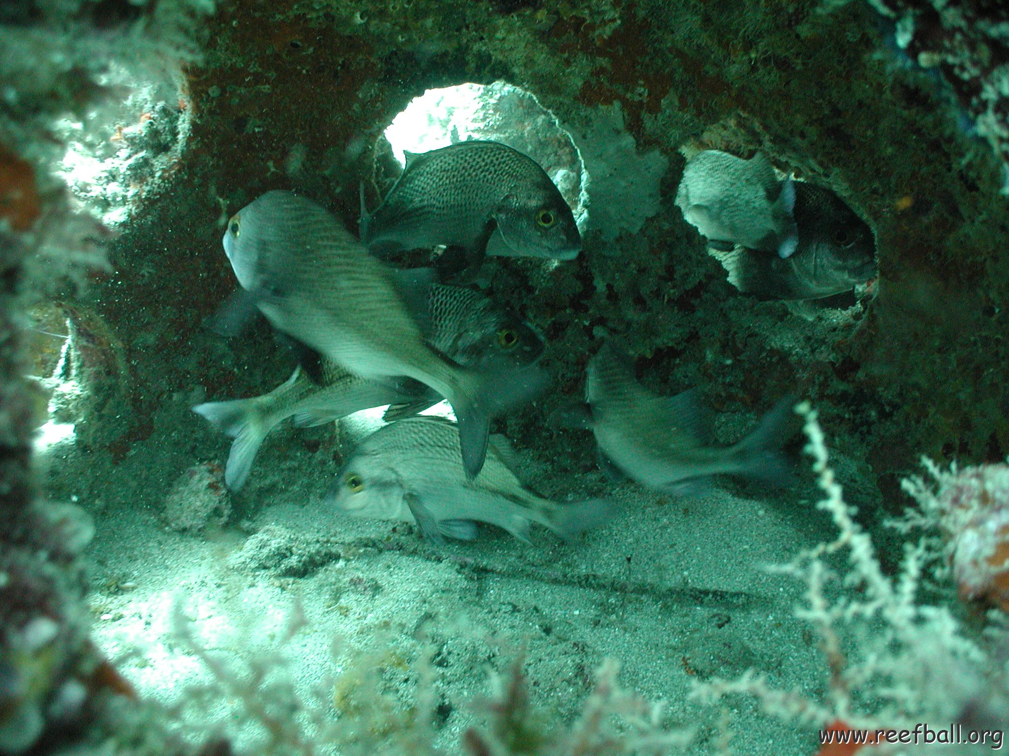 P7132771