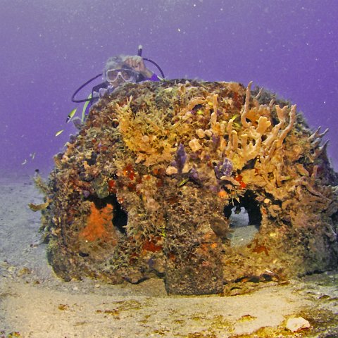 reefball w pad 2