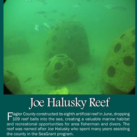 Joe Halusky Reef