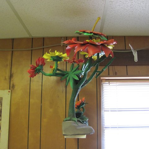 IMG_0189 IMG_0189