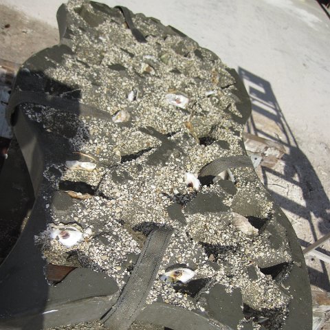 IMG_0280 IMG_0280