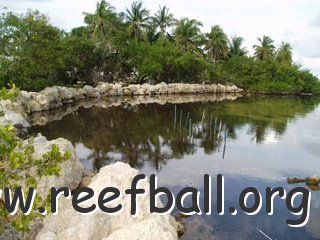 reefball mangroves low tide5 07.22.08