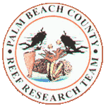 The Palm Beach County Reef Research Team