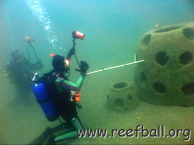 reef%20balls%20black