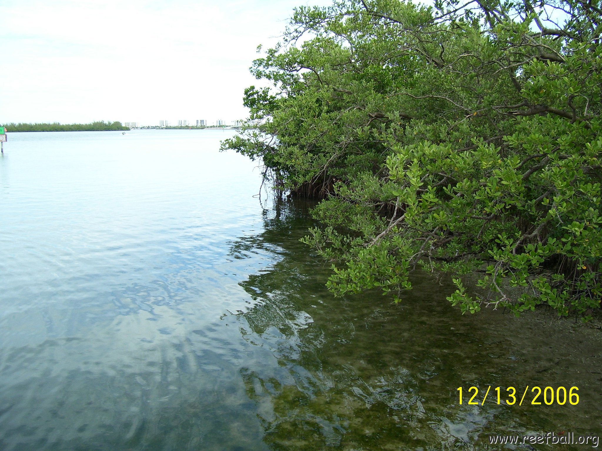 North Causeway Island Inspection 121306 006