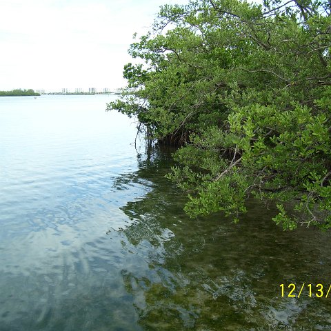 North Causeway Island Inspection 121306 006