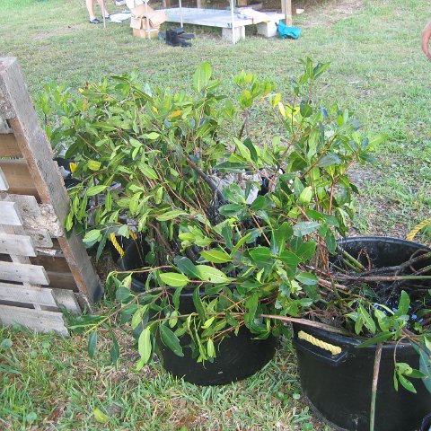 IMG_0007 IMG_0007