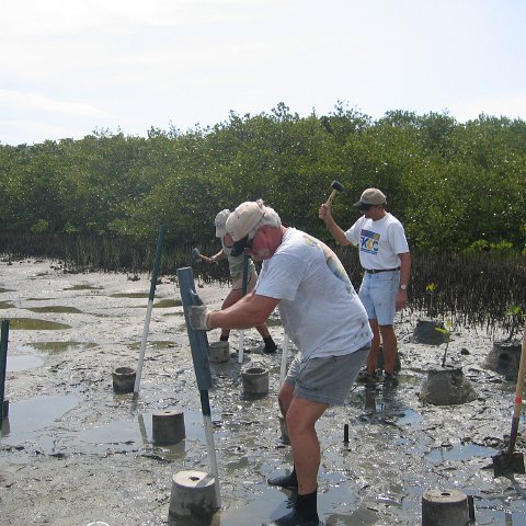 IMG_0020 IMG_0020