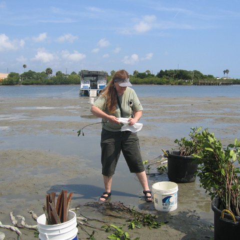 IMG_0023 IMG_0023