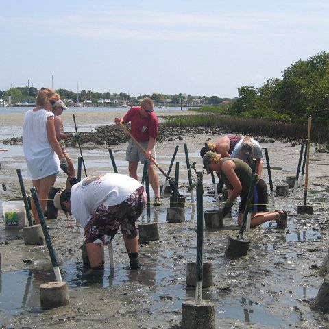 IMG_0029 IMG_0029