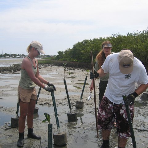 IMG_0034 IMG_0034