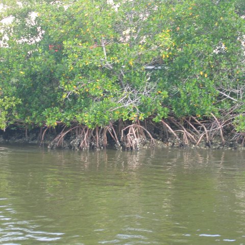 IMG_0048 IMG_0048