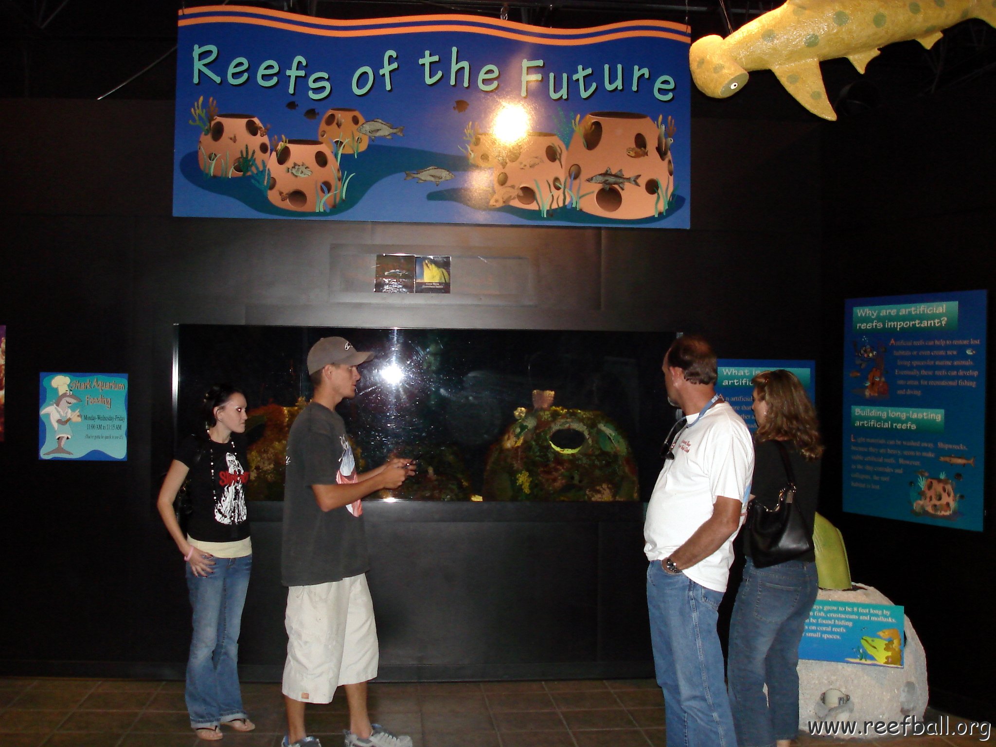 Mote pics (1) 