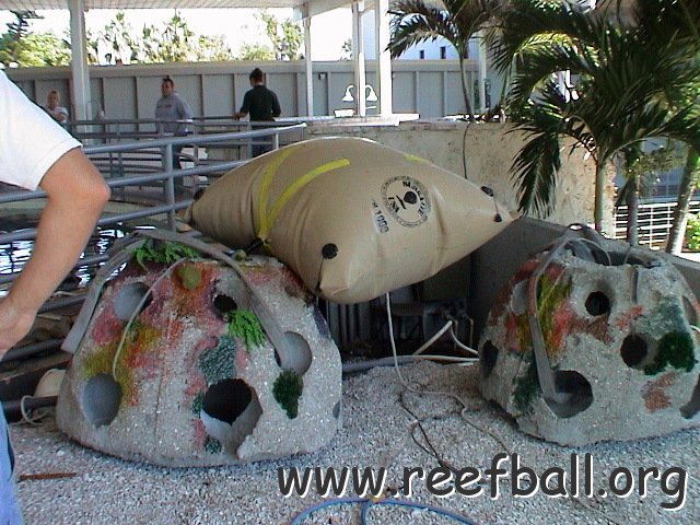 Mote shark tank 10 05 (3) 