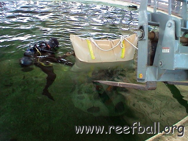 Mote shark tank 10 05 (4) 