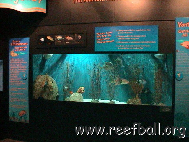 Mote shark tank 10 05 (43) 