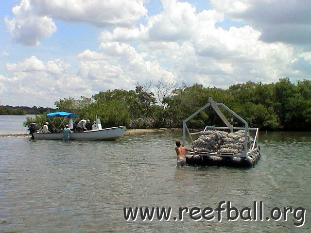 SBEP oyster proj (11) 