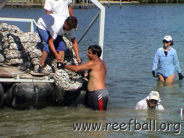 SBEP oyster proj (30) 
