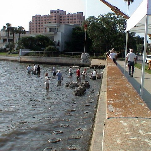 DSC00180 DSC00180