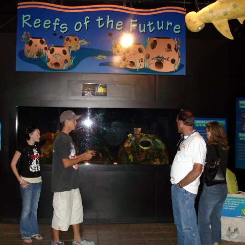 Mote pics (1) Mote pics (1)
